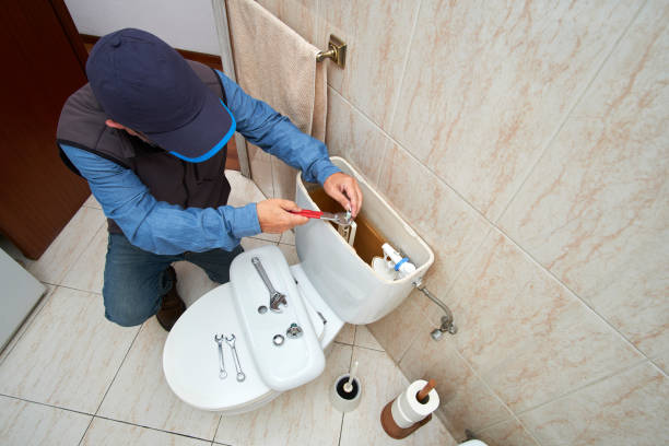 Best Sewer Line Repair  in Wilson, AR